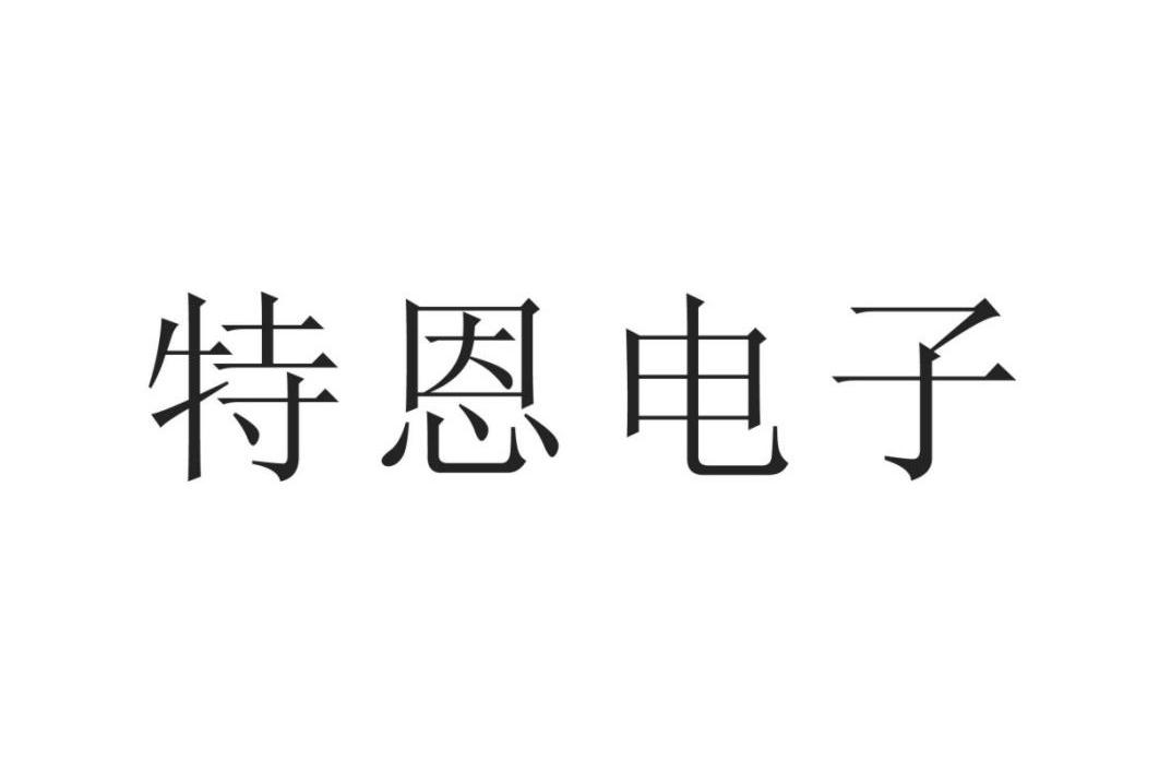 特恩电子