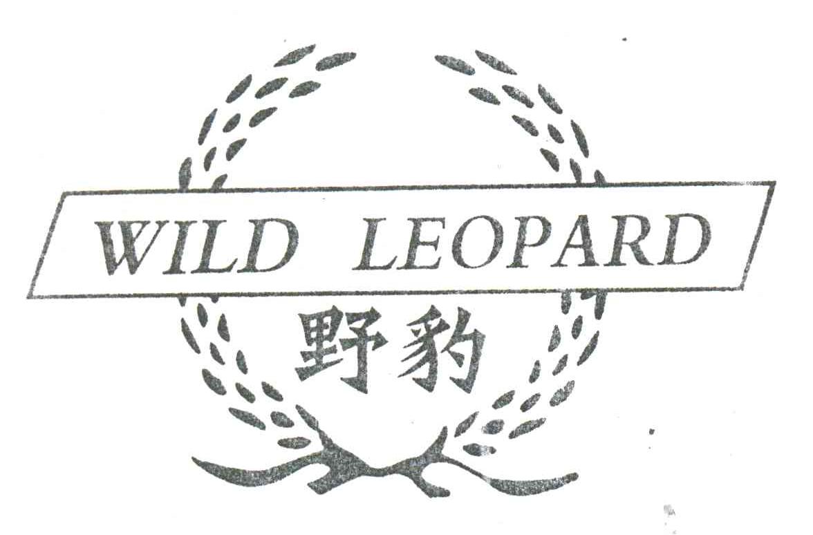 野豹;WILD LEOPARD