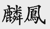 麟凤