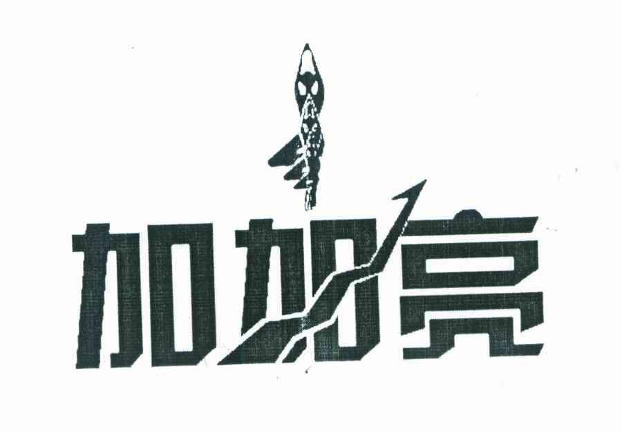 加加亮