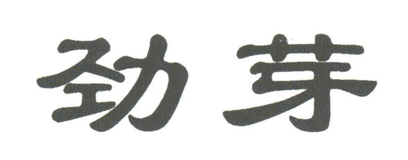 劲芽