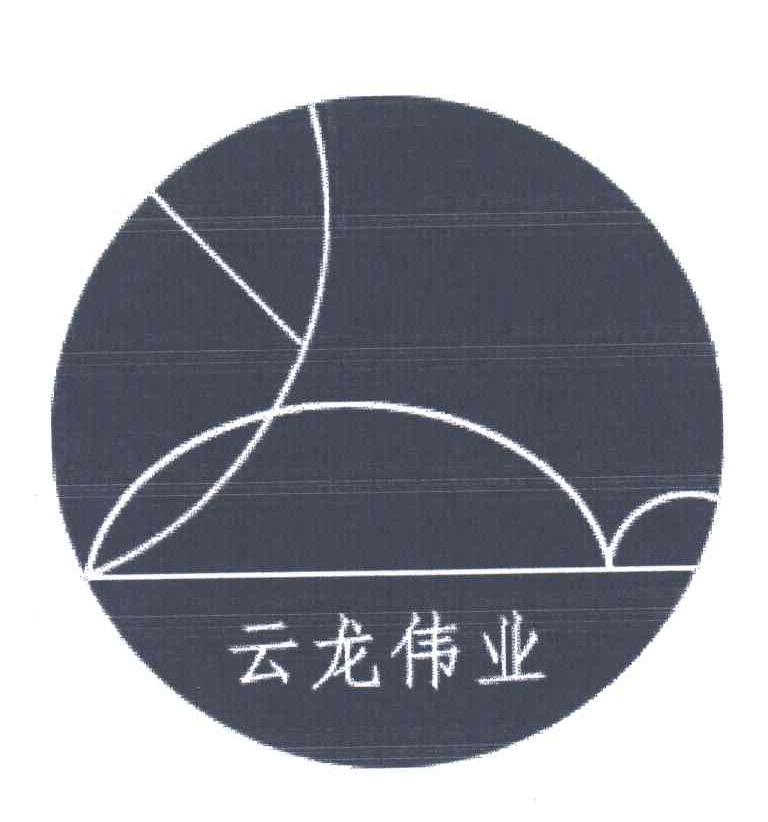 云龙伟业