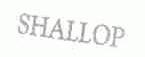 SHALLOP