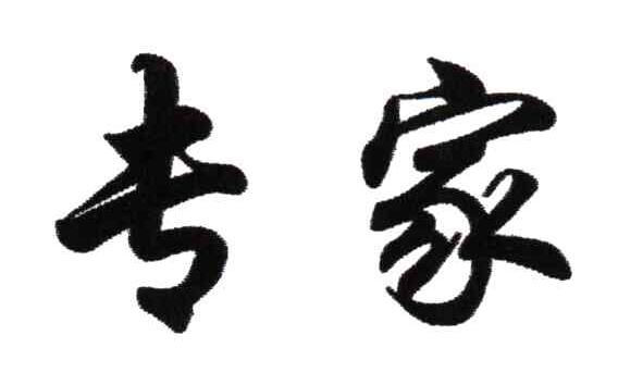 专家
