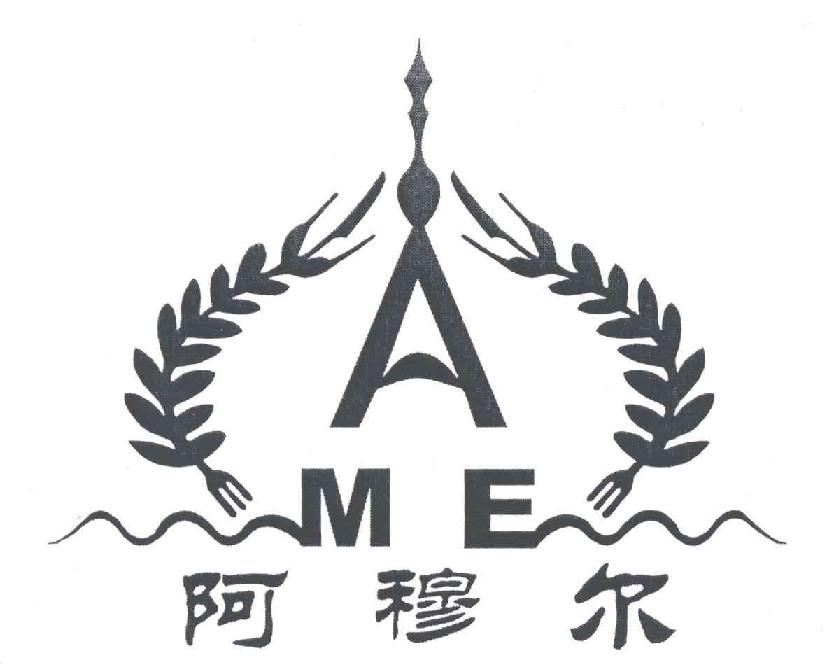 阿穆尔;AME