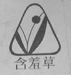 含羞草