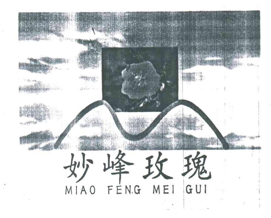 妙峰玫瑰