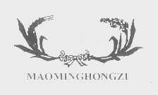 MAOMINGHONGZI