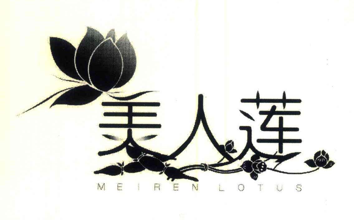 美人莲;MEI REN LOTOS
