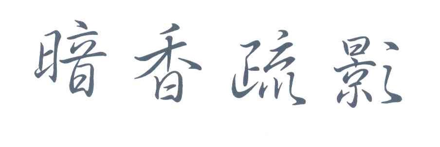 暗香疏影