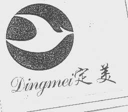 定美