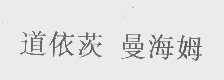 道依茨 曼海姆
