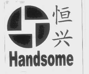 恒兴   HANDSOME
