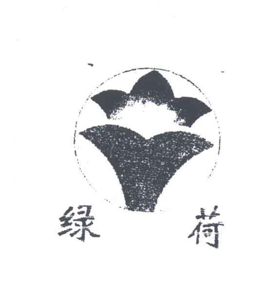 绿荷