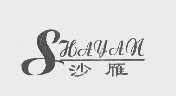 沙雁