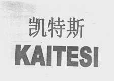 凯特斯