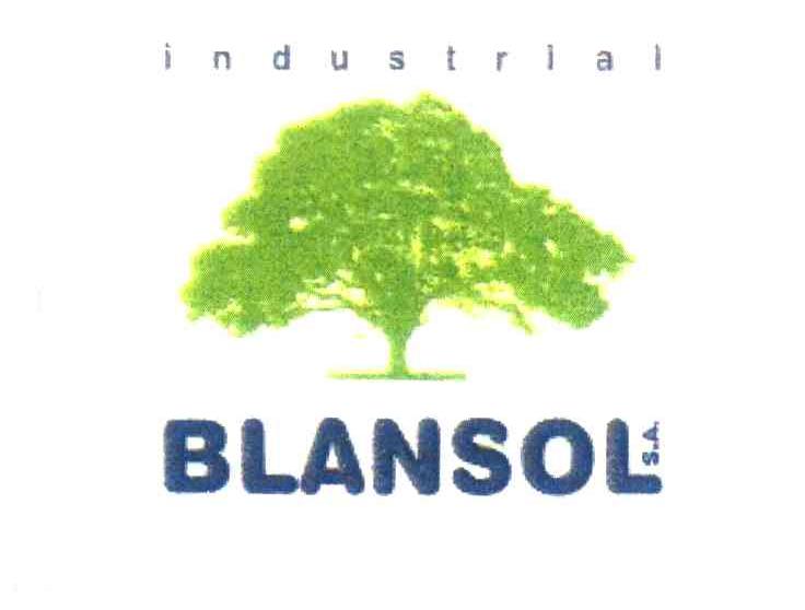 INDUSTRIAL BLANSOL