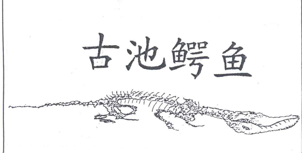 古池鳄鱼