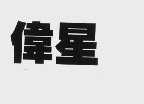 伟星