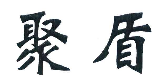 聚盾