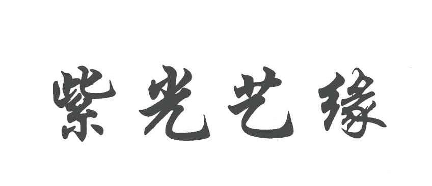 紫光艺缘