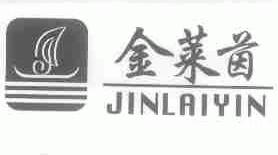 金莱茵