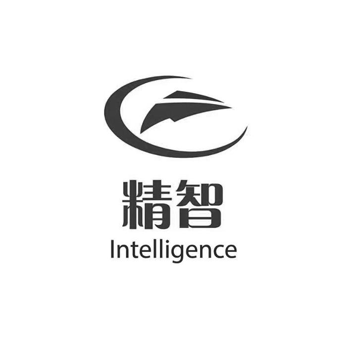 精智 INTELLIGENCE