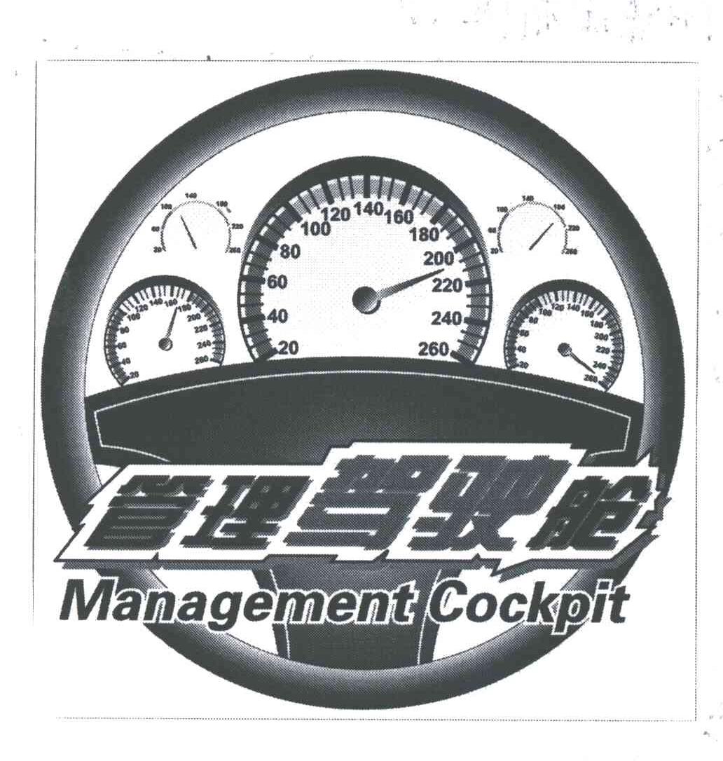 管理驾驶舱;MANAGEMENTCOCKPIT
