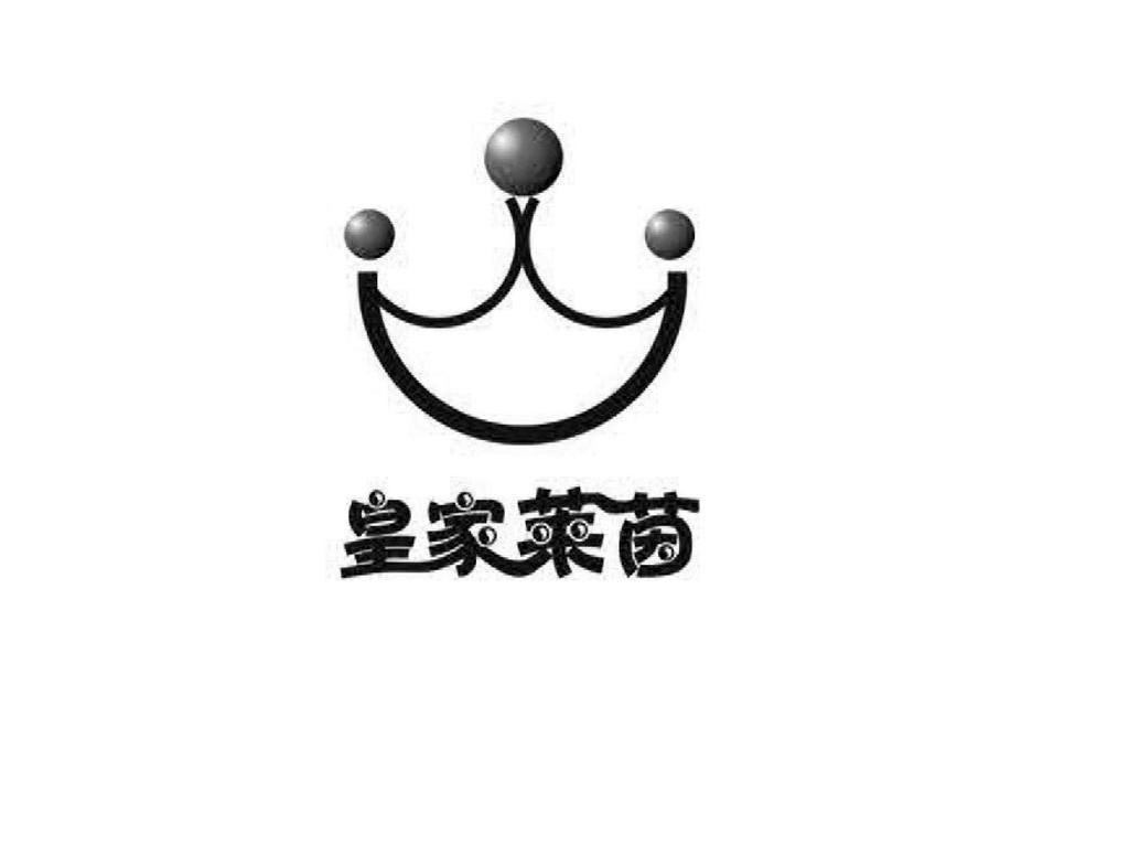 皇家莱茵