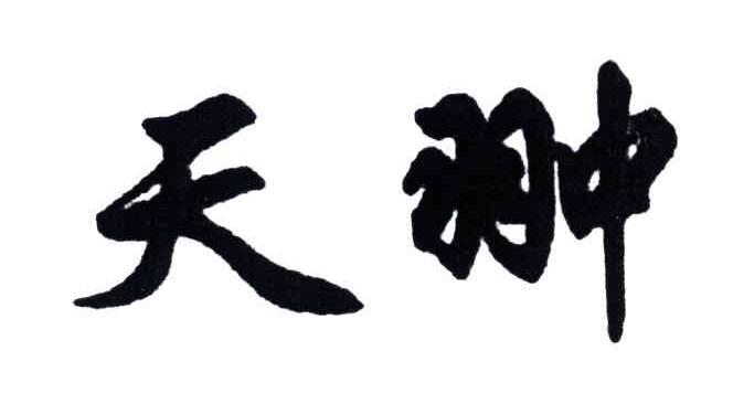 天翀