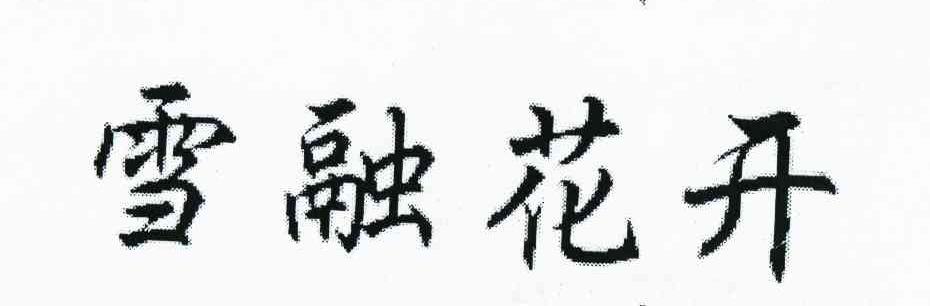 雪融花开