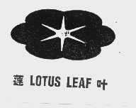 莲叶   LOTUS LEAF