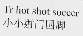 小小射门国脚   TR HOT SHOT SOCCER