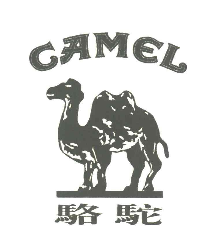 骆驼;CAMEL