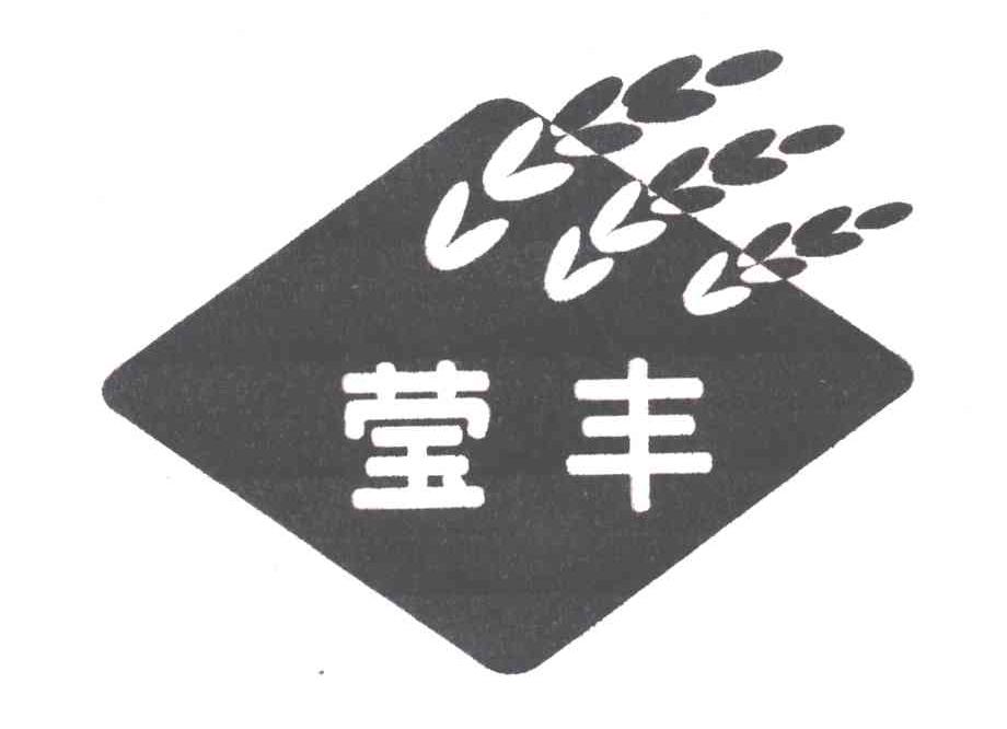 莹丰