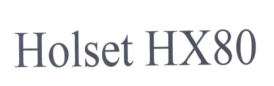 HOLSET HX80