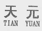 天元