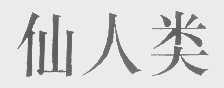 仙人类