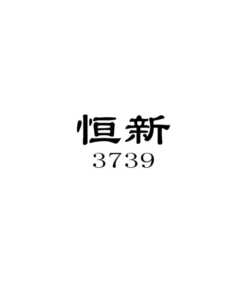 恒新 3739