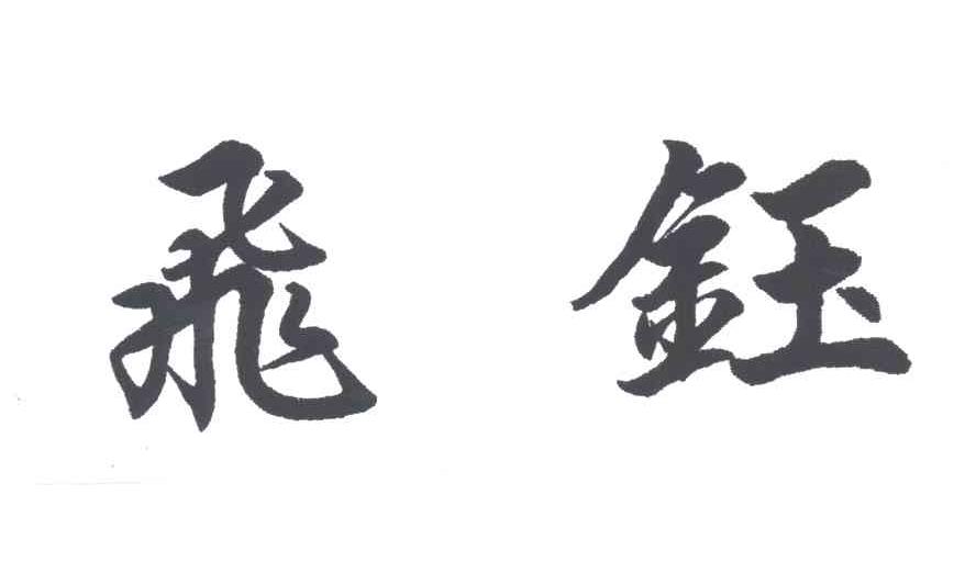 飞钰