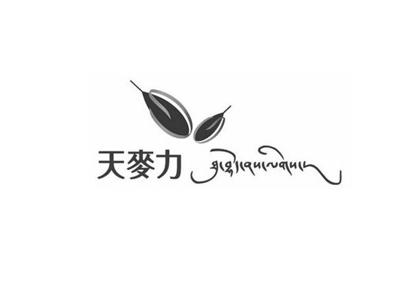 天麦力