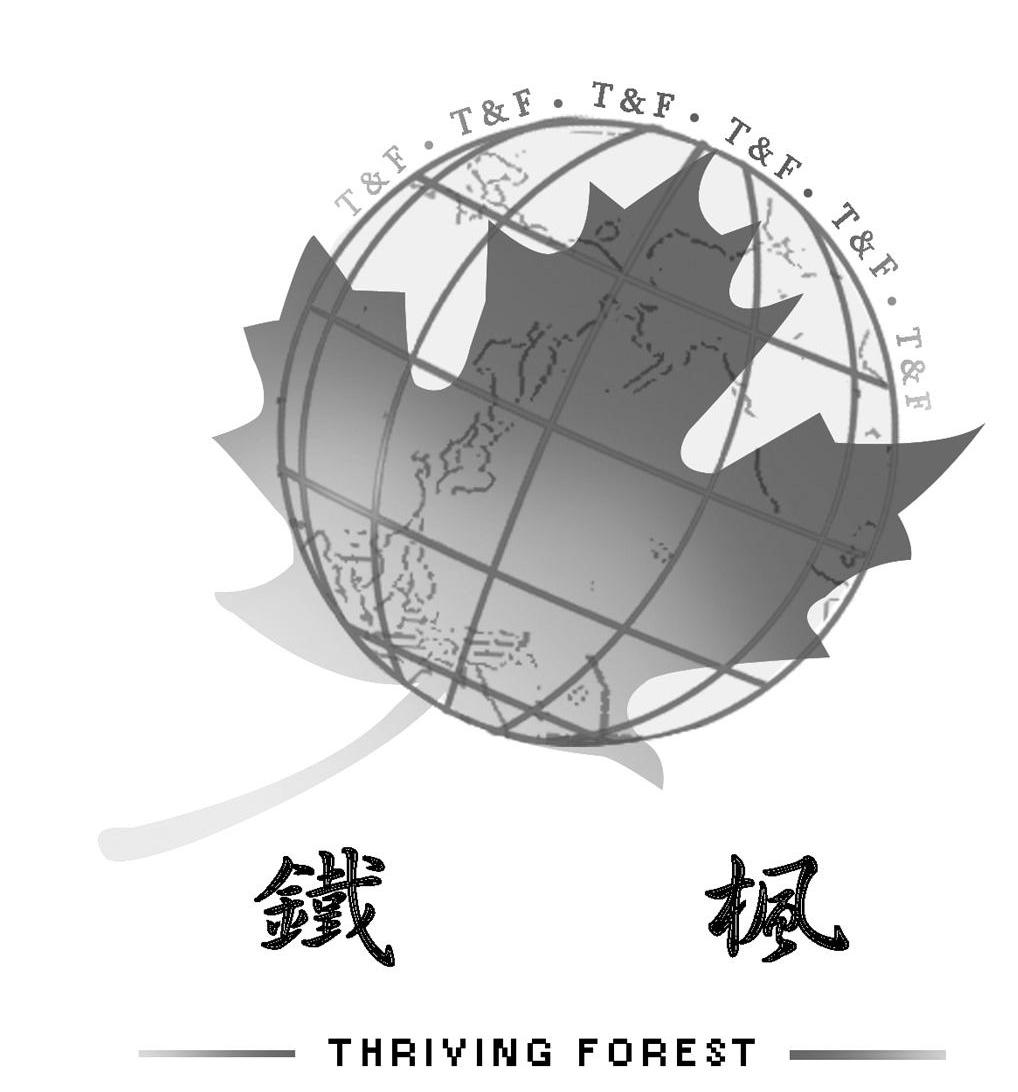 铁枫 T&F