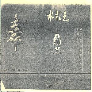 水杉王