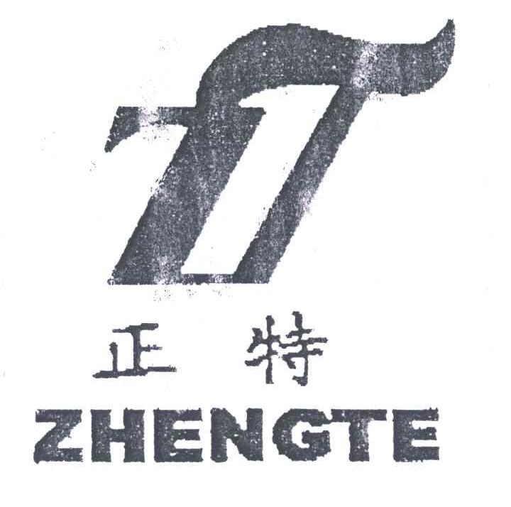 正特