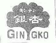 银杏;GIN GKO
