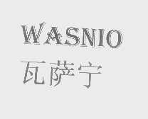 瓦萨宁   WASNIO