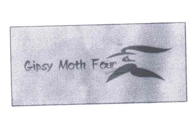 GIPSY MOTH FOUR