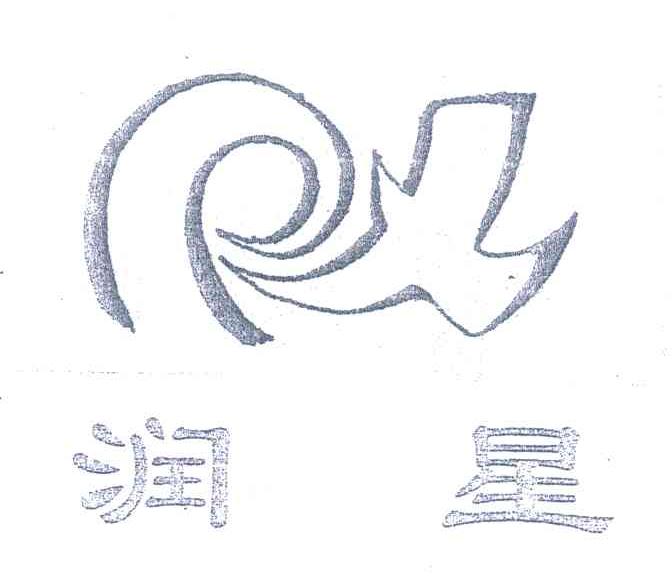 润星 RX