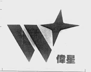 伟星