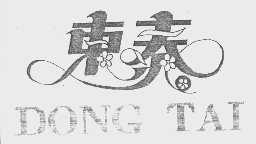 东泰
